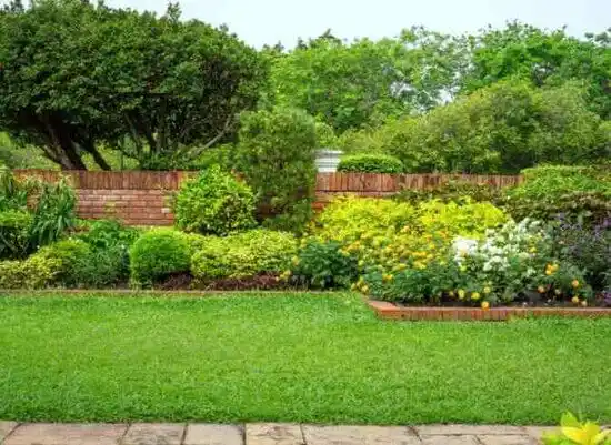 landscaping services Montgomery City